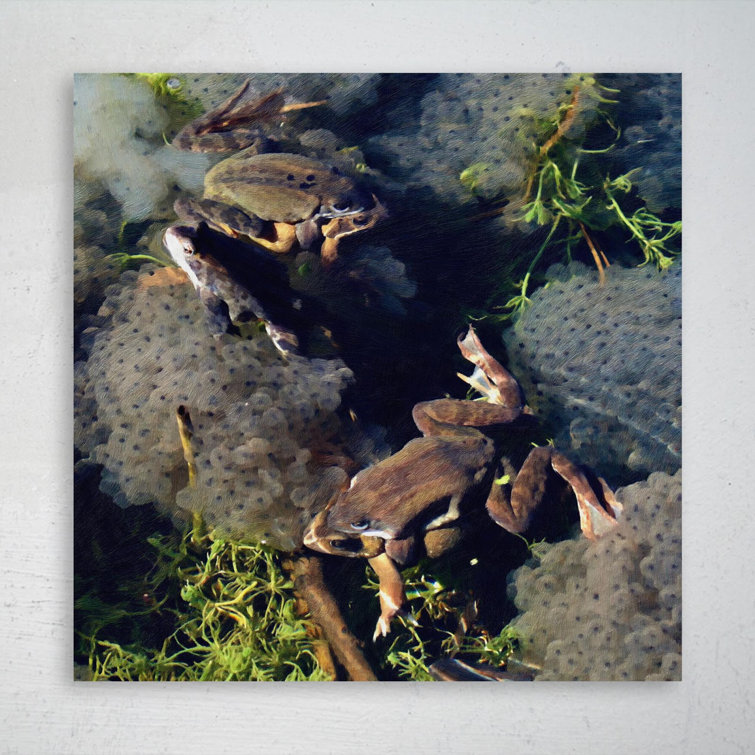 Ebern Designs Brown And Grey Frog On Water On Canvas Print - Wayfair Canada